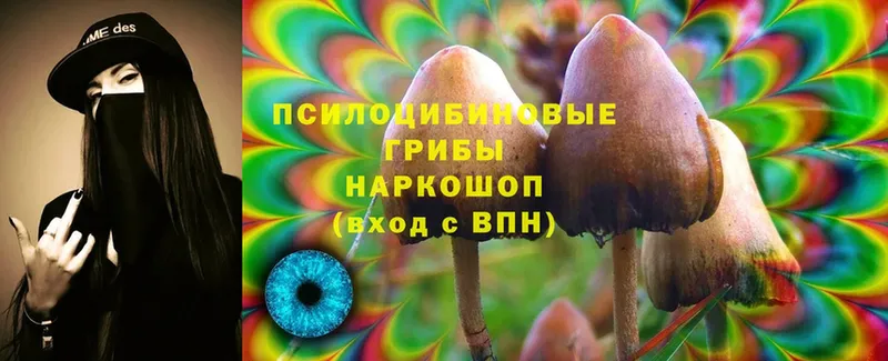 Галлюциногенные грибы MAGIC MUSHROOMS  блэк спрут как войти  Тверь  где можно купить наркотик 